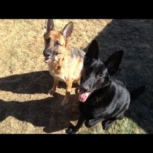 Meet your Posher, Leslie